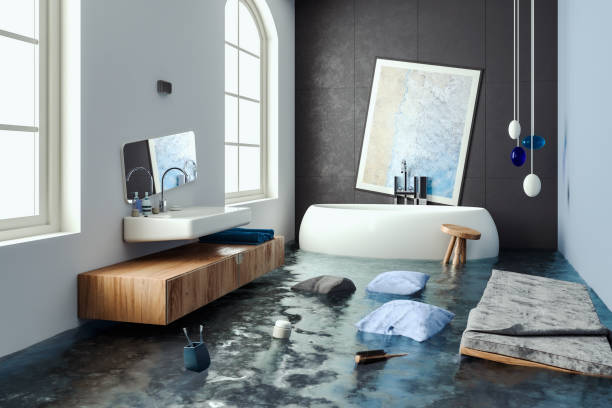 Best Water damage restoration process  in Romeo, MI