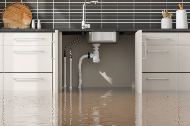Water damage restoration process in Romeo, MI