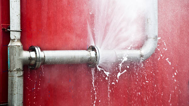 Best 24/7 water damage repair  in Romeo, MI